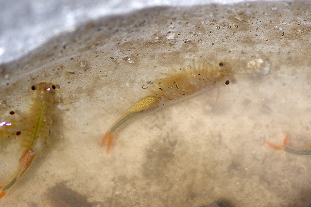 f:id:tamaokiyutaka:20200619104359j:plain f:id:tamaokiyutaka:20200619104359j:plain