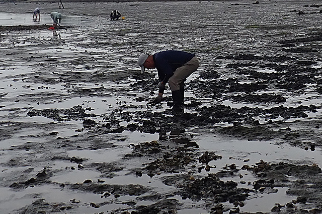 f:id:tamaokiyutaka:20200622155303j:plain