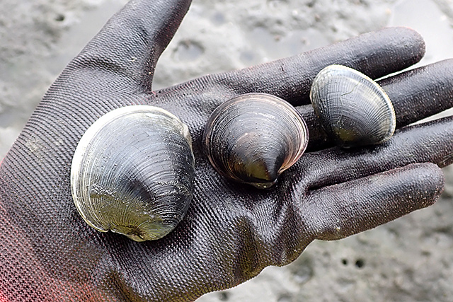 f:id:tamaokiyutaka:20200622155320j:plain