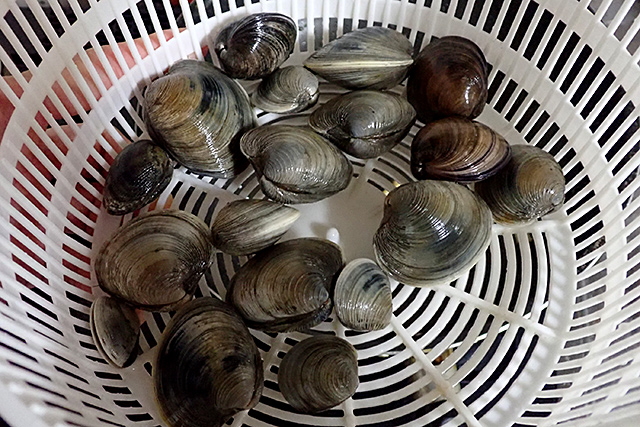 f:id:tamaokiyutaka:20200622155407j:plain