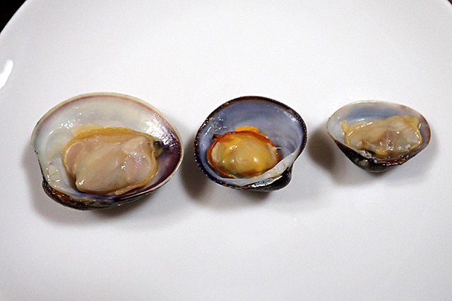 f:id:tamaokiyutaka:20200622155518j:plain