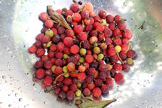 f:id:tamaokiyutaka:20200715162515j:plain f:id:tamaokiyutaka:20200715162515j:plain