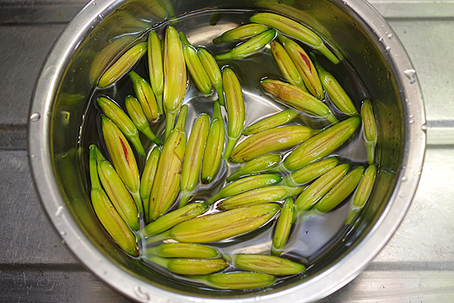 f:id:tamaokiyutaka:20200725155751j:plain