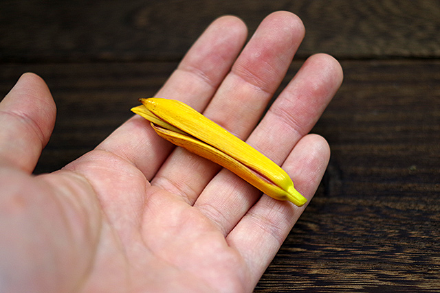 f:id:tamaokiyutaka:20200725165123j:plain