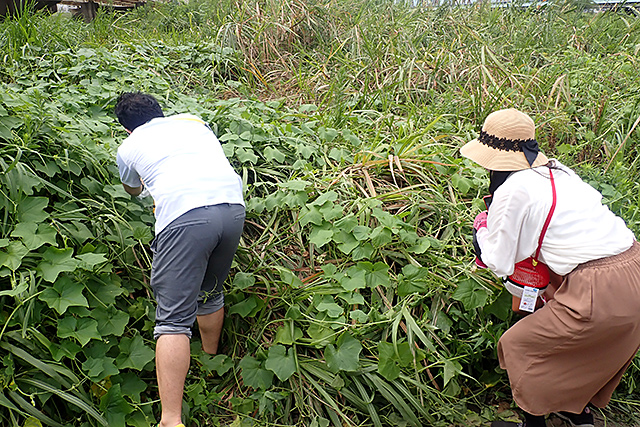 f:id:tamaokiyutaka:20200911130543j:plain f:id:tamaokiyutaka:20200911130543j:plain