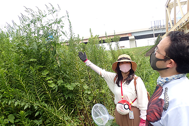 f:id:tamaokiyutaka:20200911131041j:plain f:id:tamaokiyutaka:20200911131041j:plain