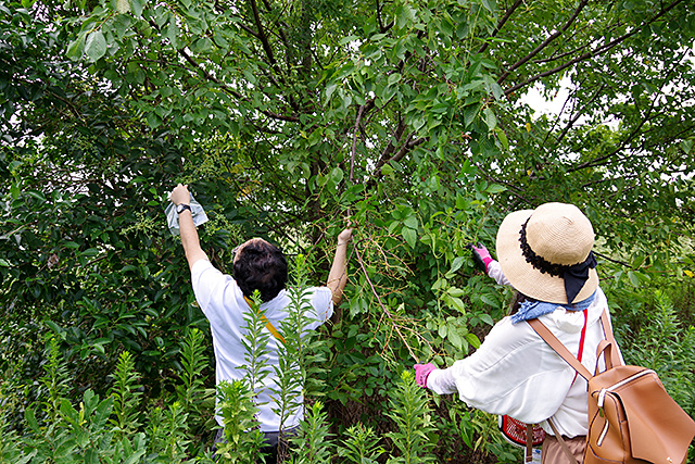 f:id:tamaokiyutaka:20200911131805j:plain f:id:tamaokiyutaka:20200911131805j:plain