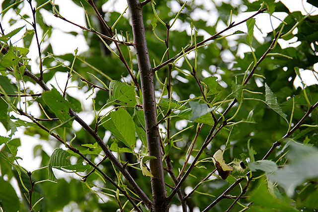 f:id:tamaokiyutaka:20200911131826j:plain f:id:tamaokiyutaka:20200911131826j:plain