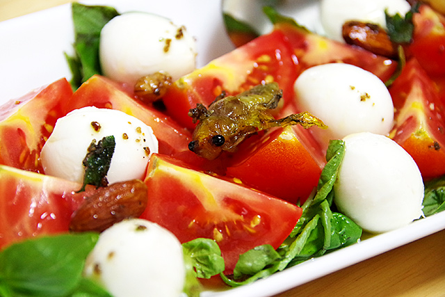 f:id:tamaokiyutaka:20200911132519j:plain f:id:tamaokiyutaka:20200911132519j:plain