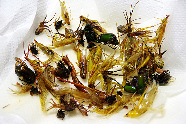 f:id:tamaokiyutaka:20200911132713j:plain f:id:tamaokiyutaka:20200911132713j:plain