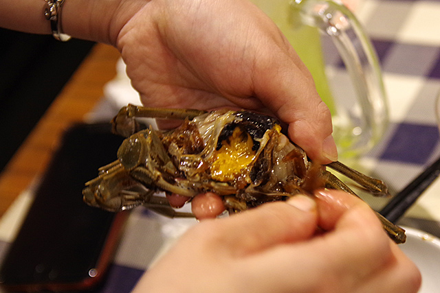 f:id:tamaokiyutaka:20201109023828j:plain f:id:tamaokiyutaka:20201109023828j:plain