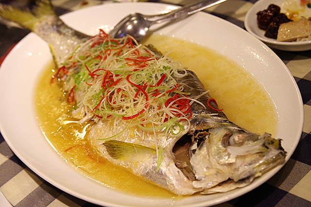 f:id:tamaokiyutaka:20201109024308j:plain f:id:tamaokiyutaka:20201109024308j:plain