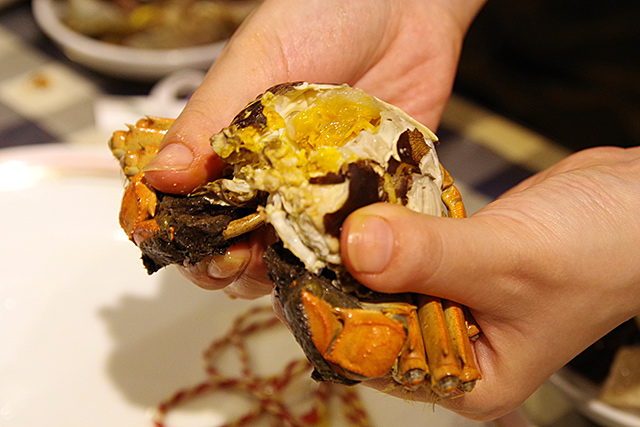 f:id:tamaokiyutaka:20201109024431j:plain f:id:tamaokiyutaka:20201109024431j:plain