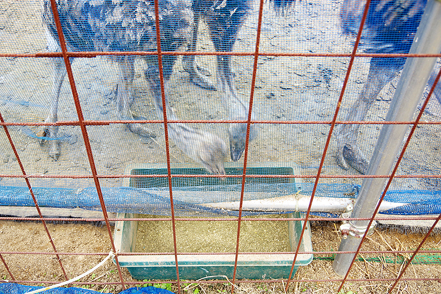 f:id:tamaokiyutaka:20201119234033j:plain