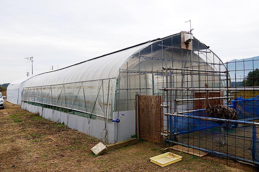 f:id:tamaokiyutaka:20201119234509j:plain