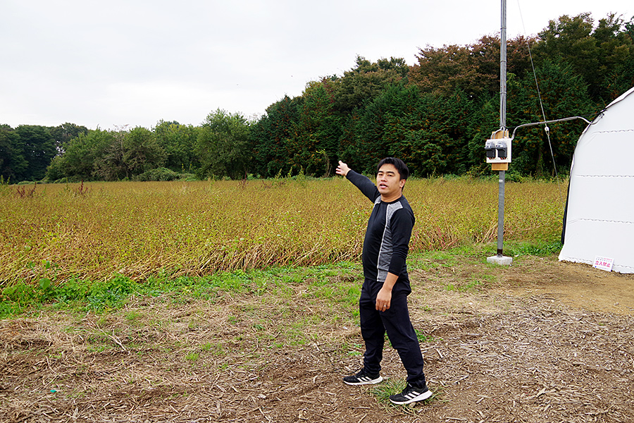 f:id:tamaokiyutaka:20201119235205j:plain