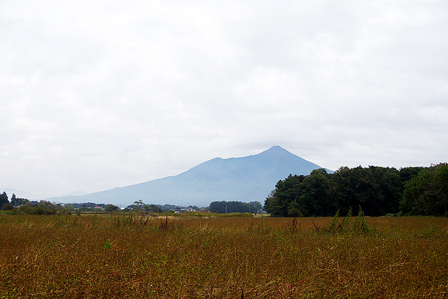 f:id:tamaokiyutaka:20201119235246j:plain