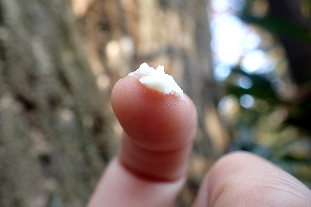 f:id:tamaokiyutaka:20201214145659j:plain