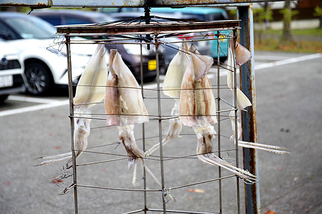 f:id:tamaokiyutaka:20201218162258j:plain