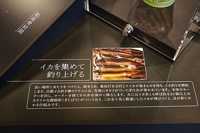 f:id:tamaokiyutaka:20201218162315j:plain