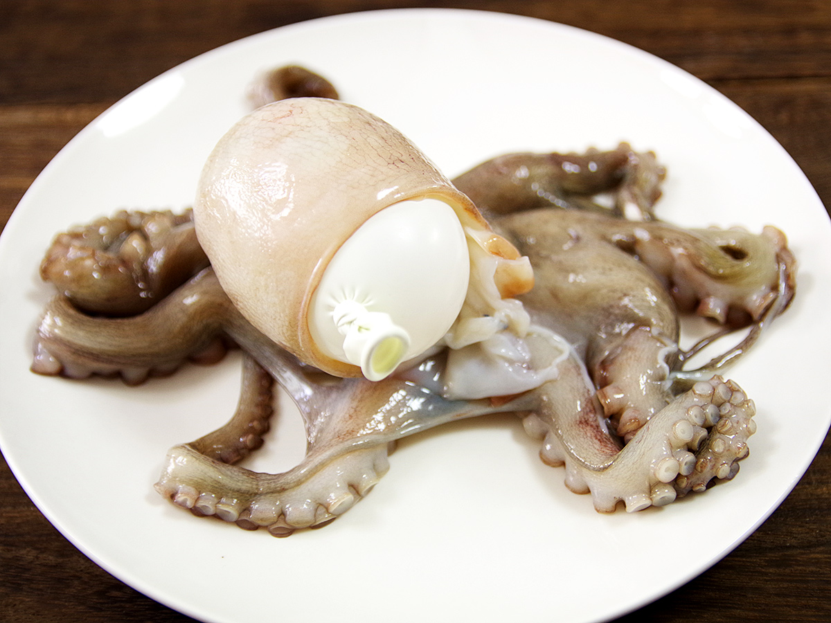 f:id:tamaokiyutaka:20210119111055j:plain