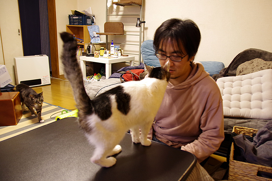 f:id:tamaokiyutaka:20210301203320j:plain