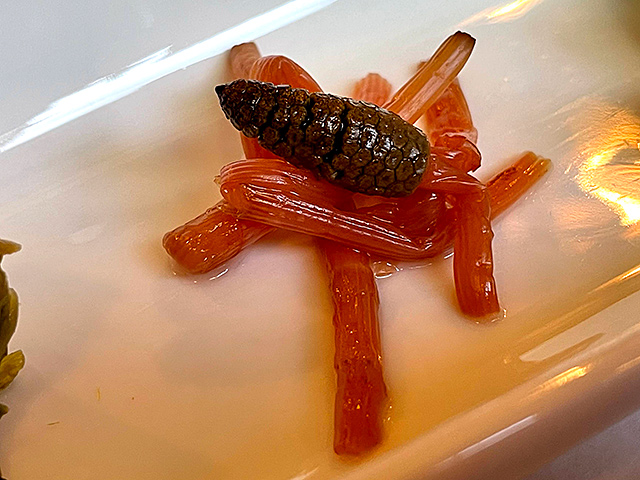 f:id:tamaokiyutaka:20210320175557j:plain