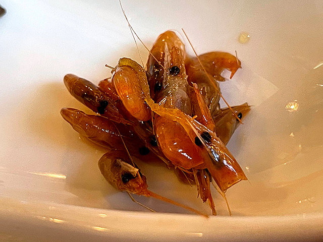 f:id:tamaokiyutaka:20210320175633j:plain