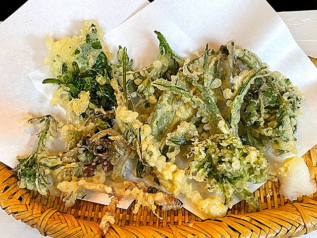 f:id:tamaokiyutaka:20210320175717j:plain