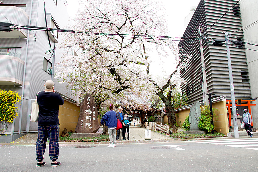 f:id:tamaokiyutaka:20210421223228j:plain