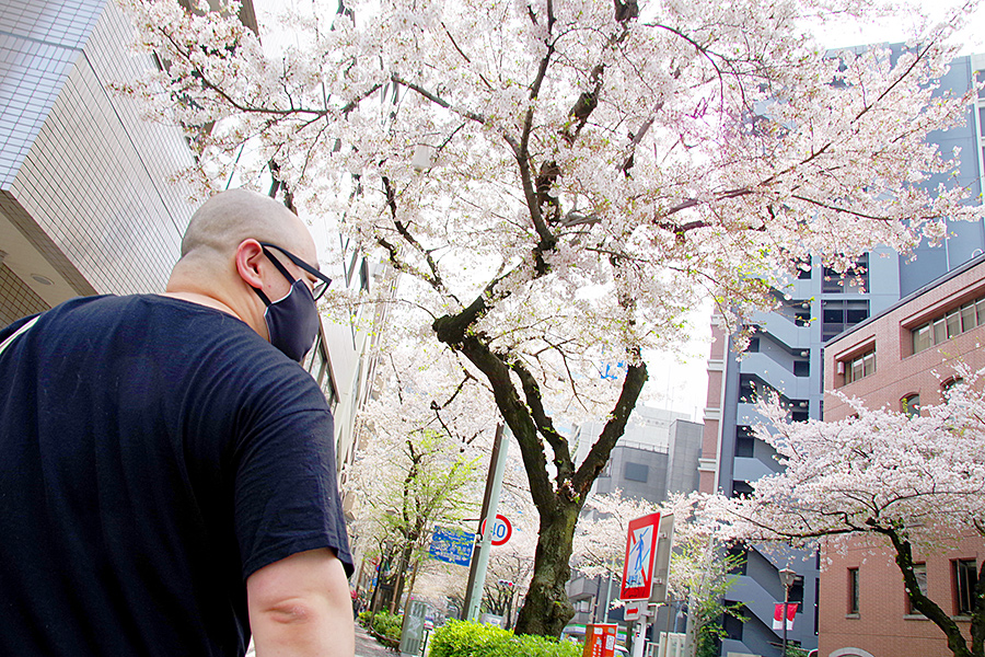 f:id:tamaokiyutaka:20210421223328j:plain