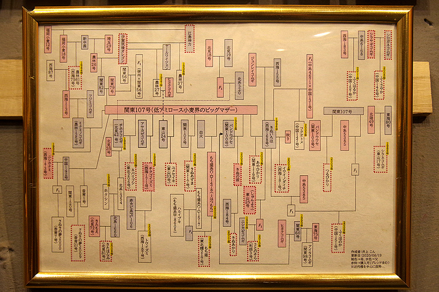 f:id:tamaokiyutaka:20211230112445j:plain