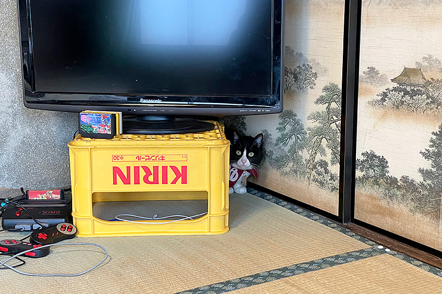 f:id:tamaokiyutaka:20220413144842j:plain