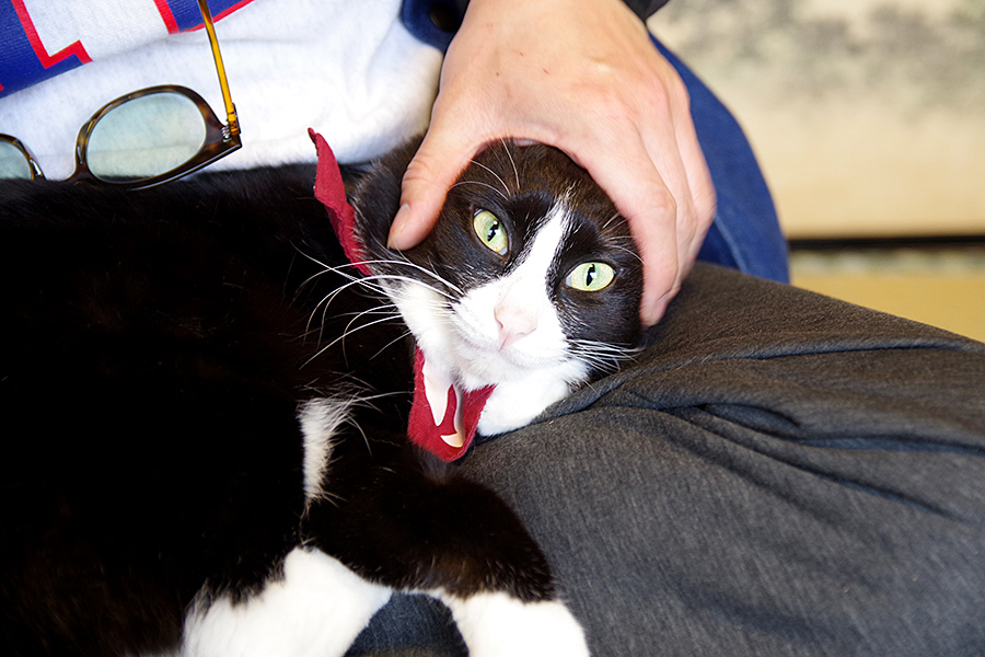 f:id:tamaokiyutaka:20220413144929j:plain