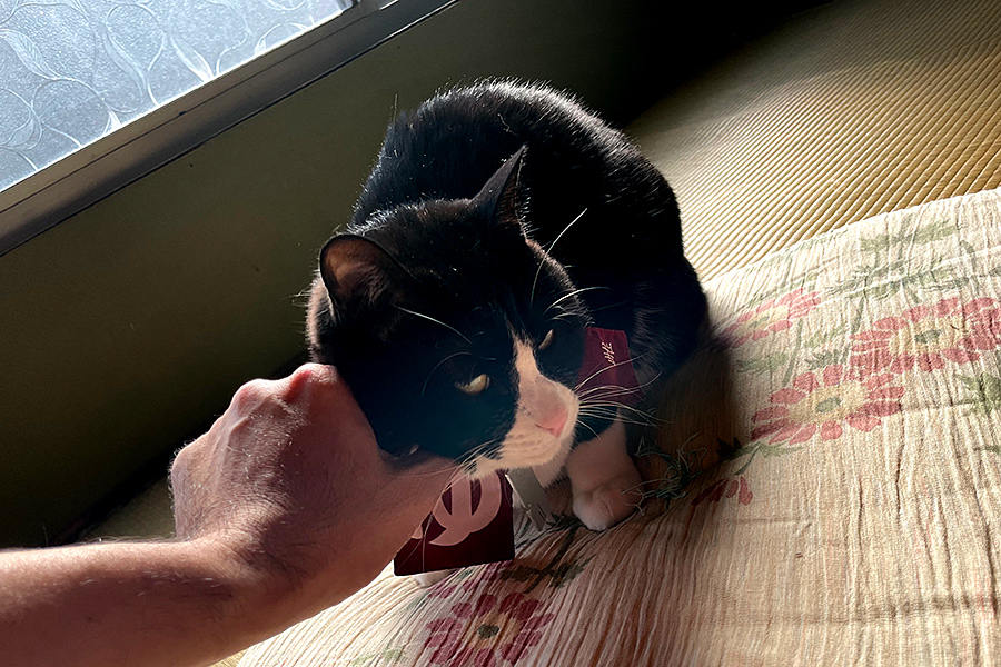 f:id:tamaokiyutaka:20220413145801j:plain