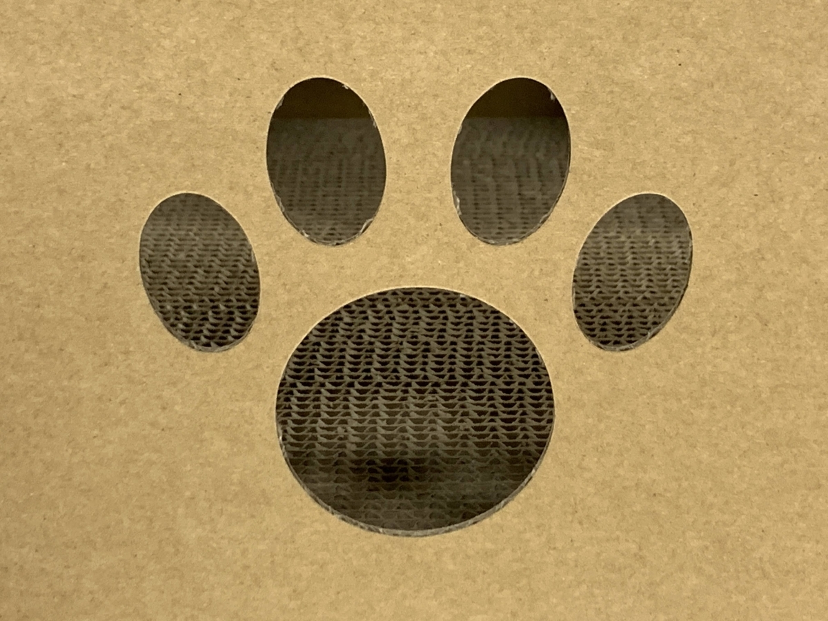 f:id:tamapack_design:20210222153602j:plain