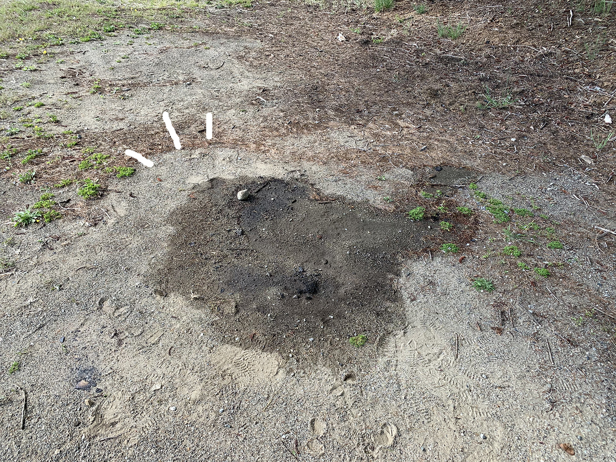 f:id:tamapack_design:20210528114024p:plain