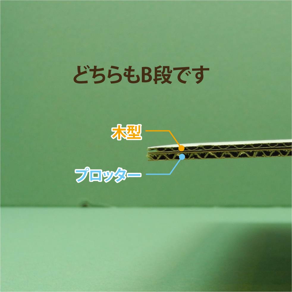 f:id:tamapack_design:20220224142952j:plain