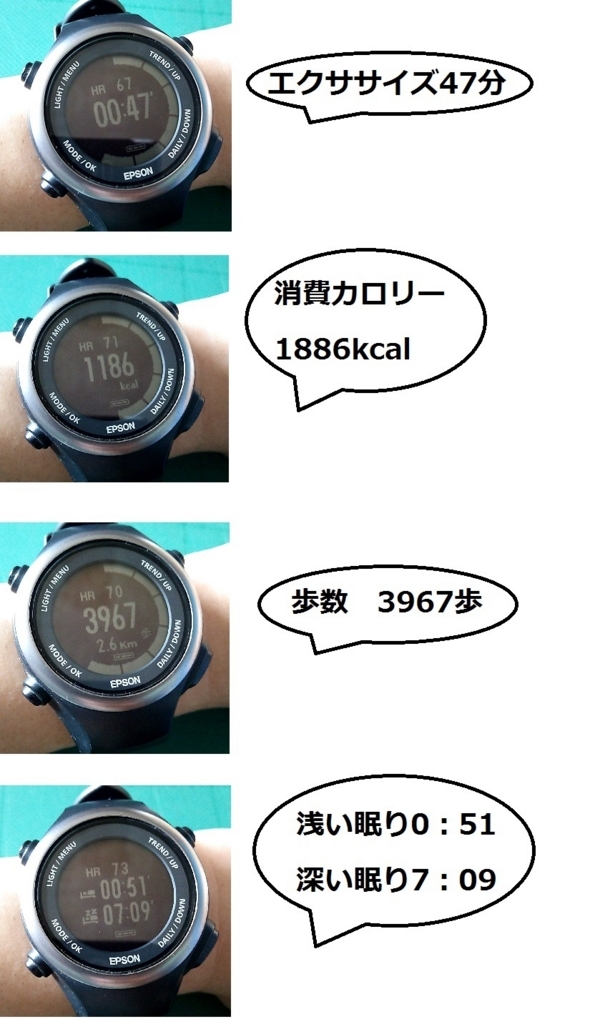 f:id:tamarumo:20170719095625j:plain f:id:tamarumo:20170719095625j:plain