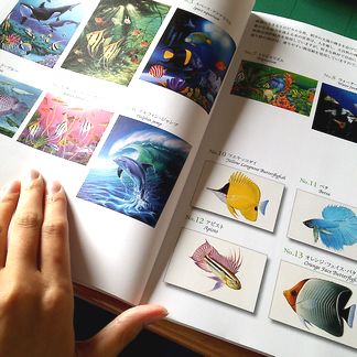 大人の塗り絵 海のファンタジー編 シャチ メイキングpart1 塗り絵のある暮らし