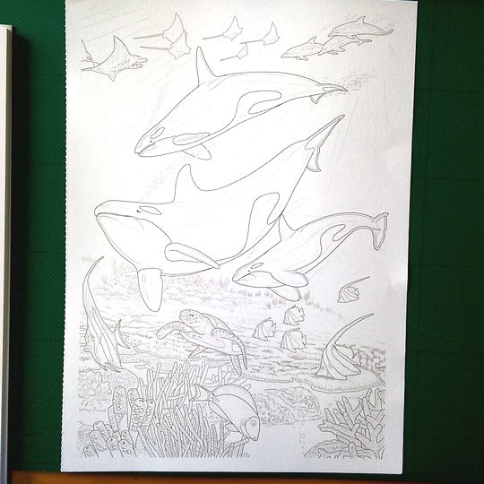 大人の塗り絵 海のファンタジー編 シャチ メイキングpart1 塗り絵のある暮らし