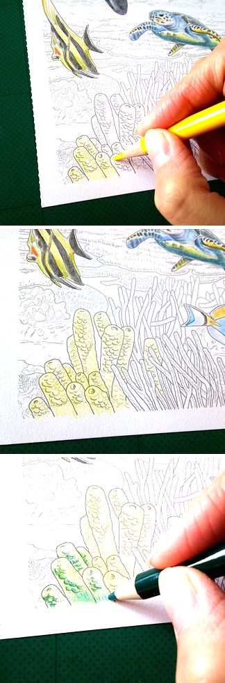 大人の塗り絵 海のファンタジー編 シャチ メイキングpart3 塗り絵のある暮らし