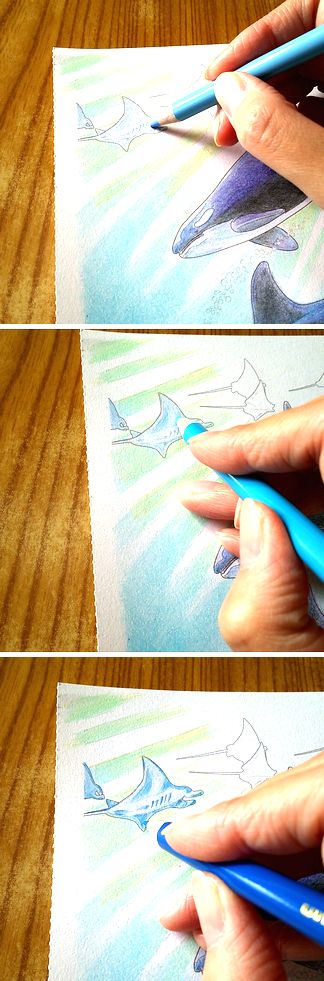 大人の塗り絵 海のファンタジー編 シャチ メイキングpart6 塗り絵のある暮らし