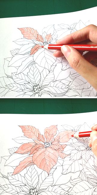 f:id:tamarumo:20180109105546j:plain