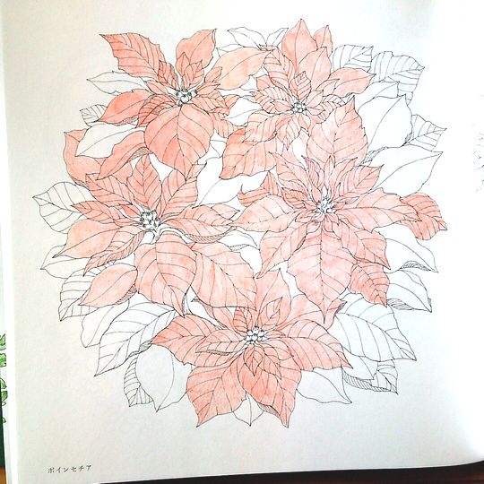 f:id:tamarumo:20180109111100j:plain