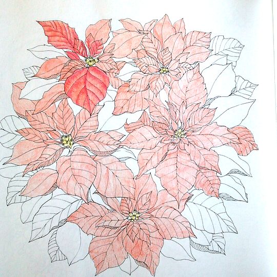 f:id:tamarumo:20180109111721j:plain