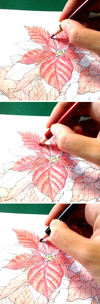 f:id:tamarumo:20180109111830j:plain