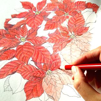 f:id:tamarumo:20180109112208j:plain