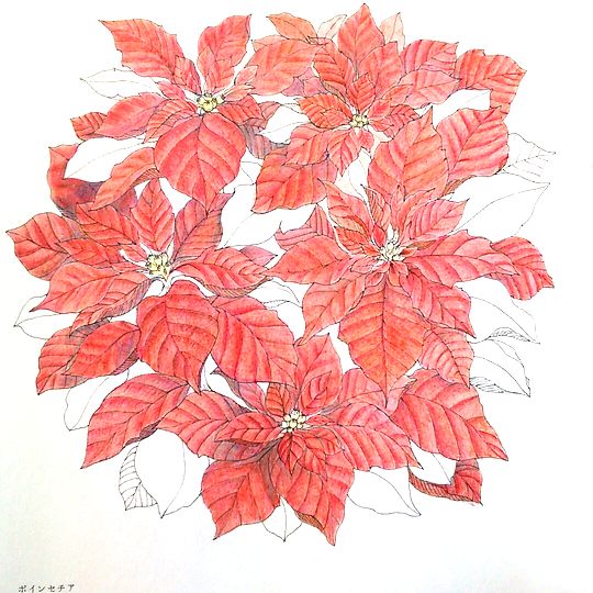 f:id:tamarumo:20180109112324j:plain