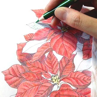 f:id:tamarumo:20180109164331j:plain